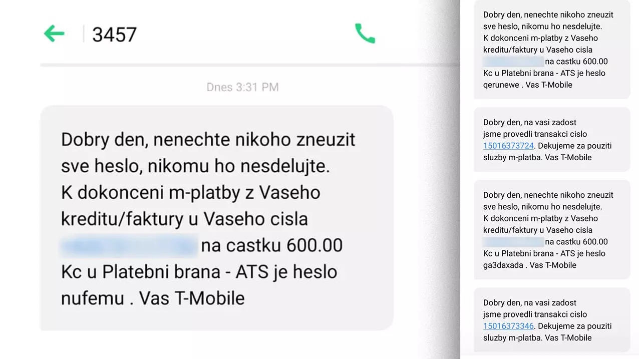 Na Facebooku prozradila číslo mobilu. Pak postupně přicházela o peníze